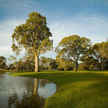 Serafino Mclaren Vale Ngoại thất bức ảnh