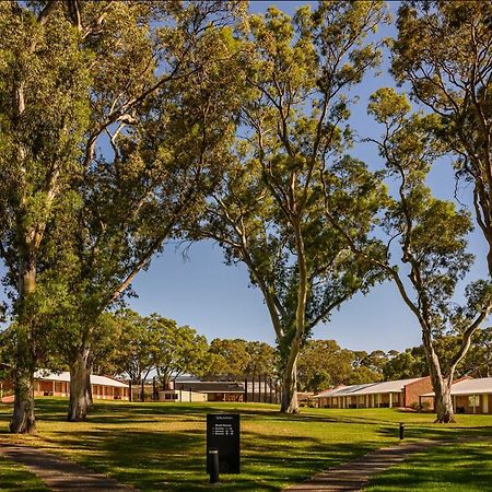 Serafino Mclaren Vale Ngoại thất bức ảnh