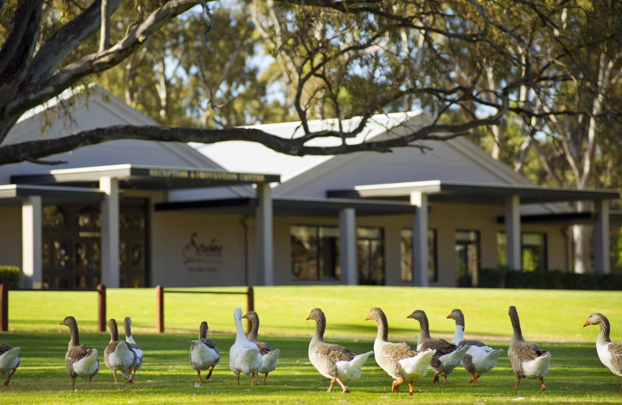 Serafino Mclaren Vale Ngoại thất bức ảnh